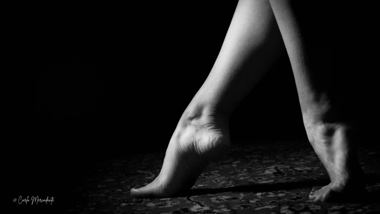 Gloria Sedia E Tappeto Rid 8